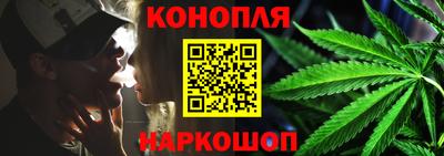 крисы Малгобек