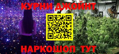 крисы Малгобек