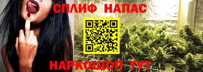 крисы Малгобек