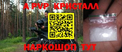 крисы Малгобек