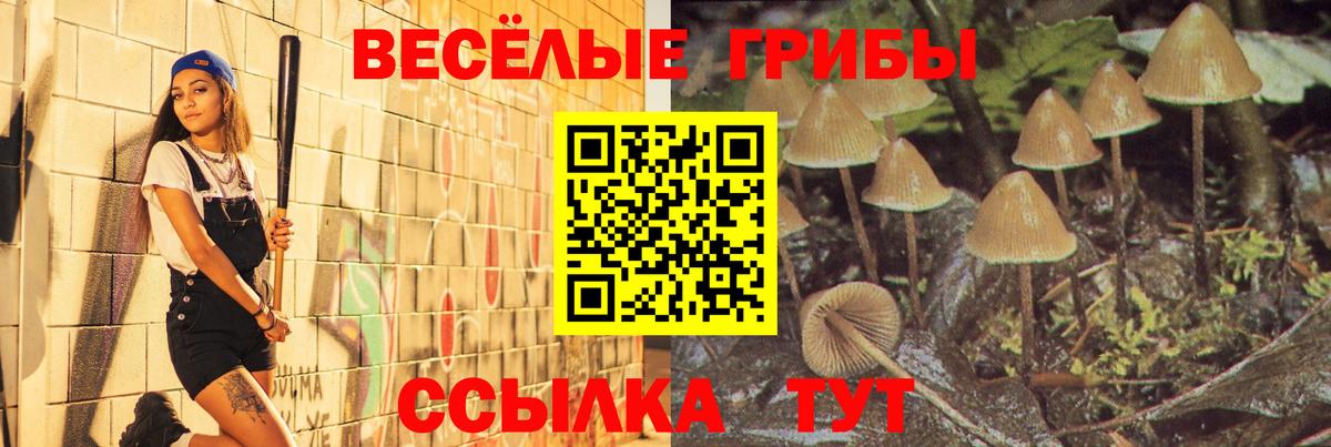Псилоцибиновые грибы Psilocybine cubensis  Вход с VPN  Еманжелинск 
